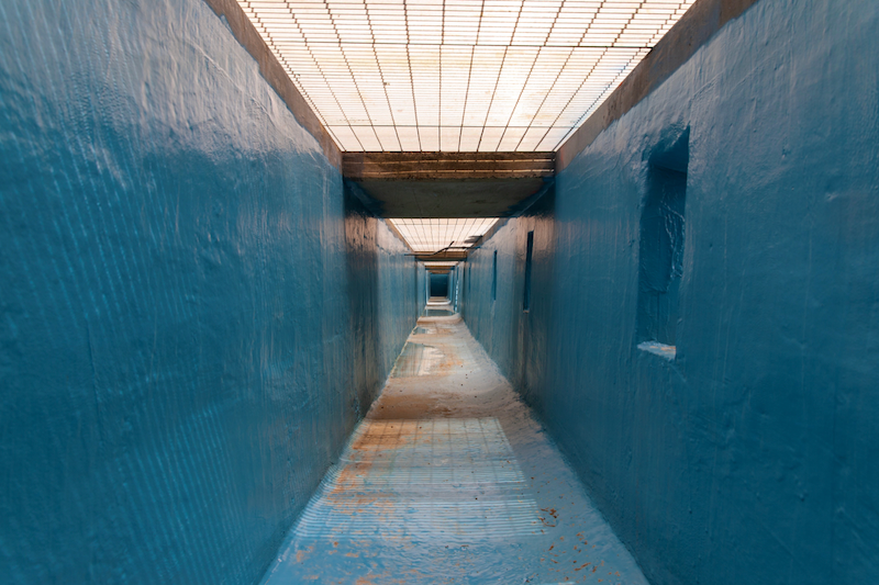 Screen Shot 2019-08-23 at 10.06.53 AM