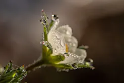 1655328497732 Water Equity 0 1655328497732 Water Equity 0