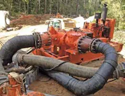 1655328504176 Driprime 1655328504176 Driprime