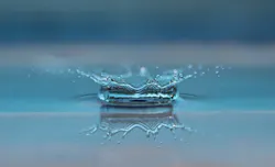 1655328528422 Water Drop 1655328528422 Water Drop