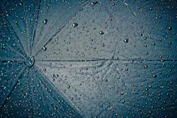 1655328543089 Water Testing 1655328543089 Water Testing