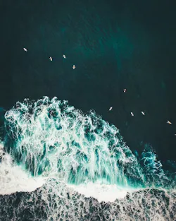 1655328549824 Water Australia 1655328549824 Water Australia