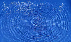 1655328554551 Lead Service Lines 0 1655328554551 Lead Service Lines 0