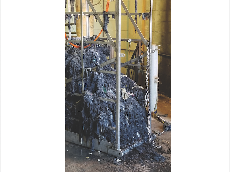 1655328565875 800 Background Copy