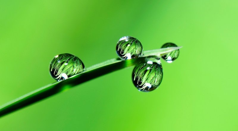 1655328579544 Waterdrop 1