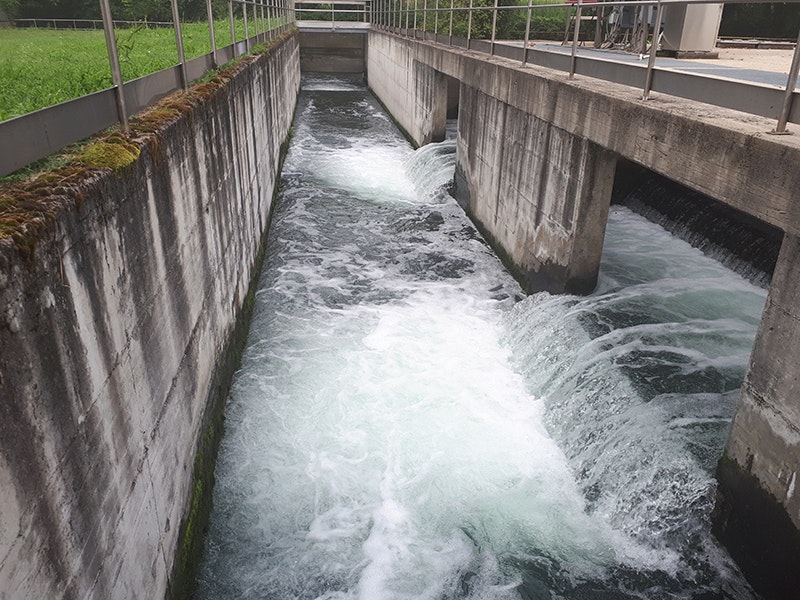 DeNora-Lariana-800px