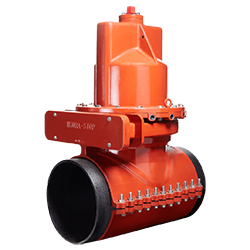 IV2024-front-250x250