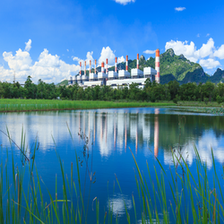 Planning and Ecosystems Consulting