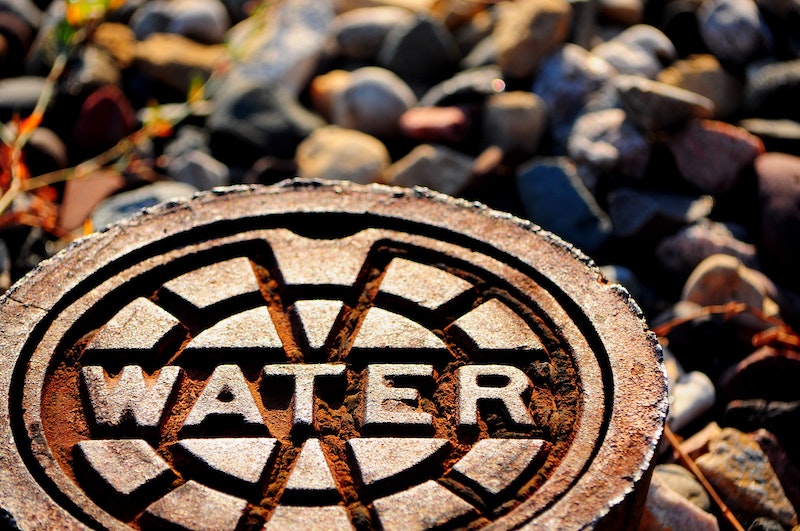 shutterstock_96246653