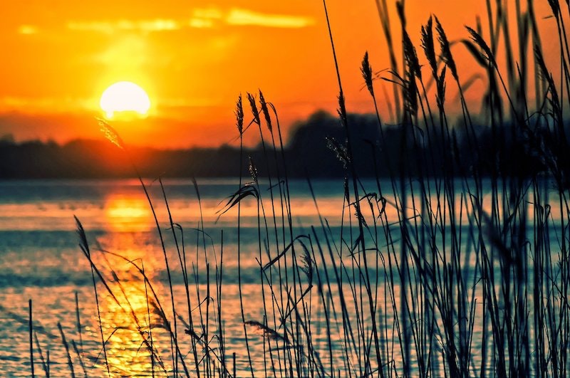 1655328622035 Epaannounces2021saferchoicepartneroftheyearawardwinnerslake696098 1920min