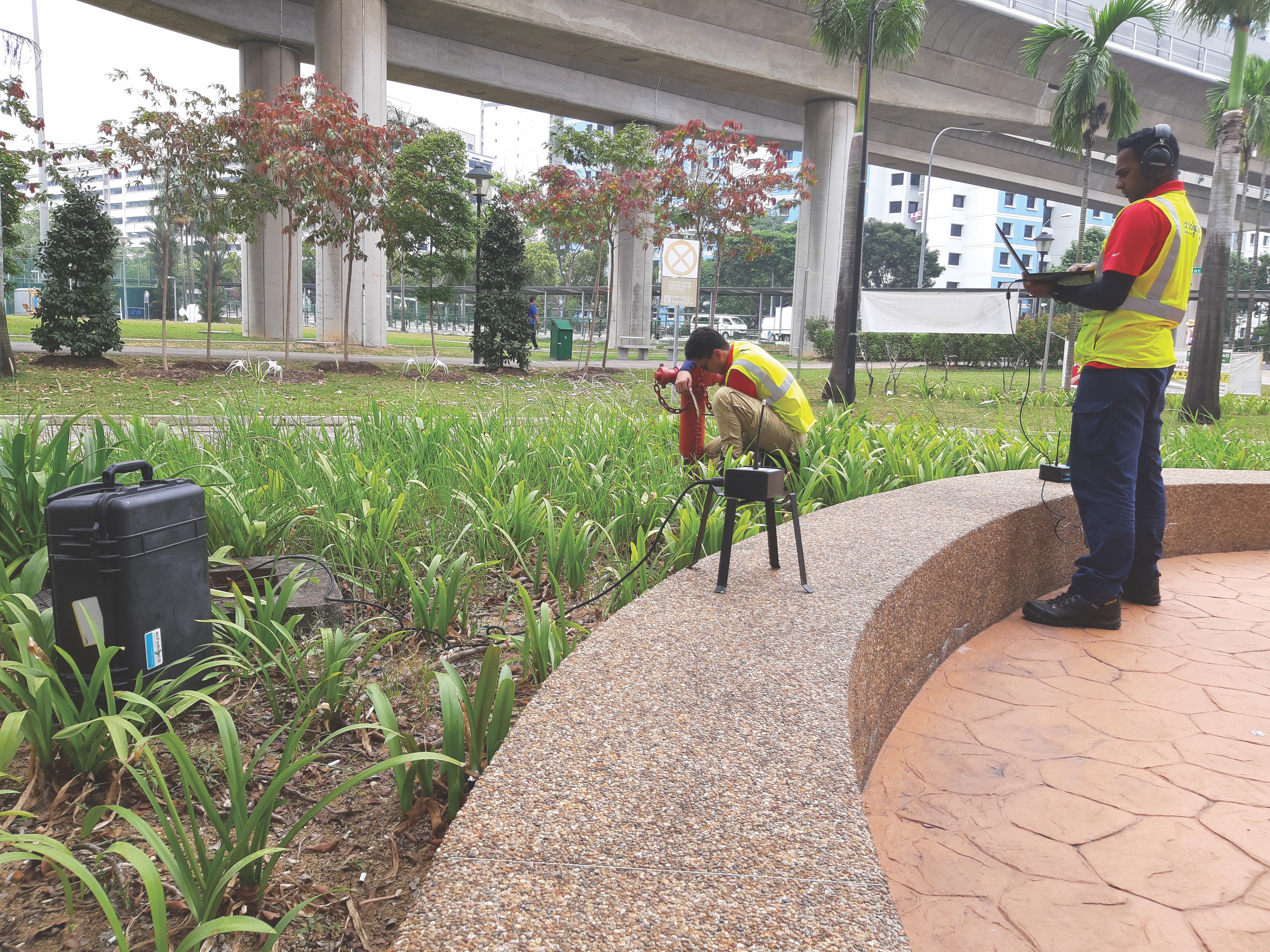 1655328642774 Mueller