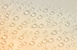 1655328667335 Onewater 1 1655328667335 Onewater 1