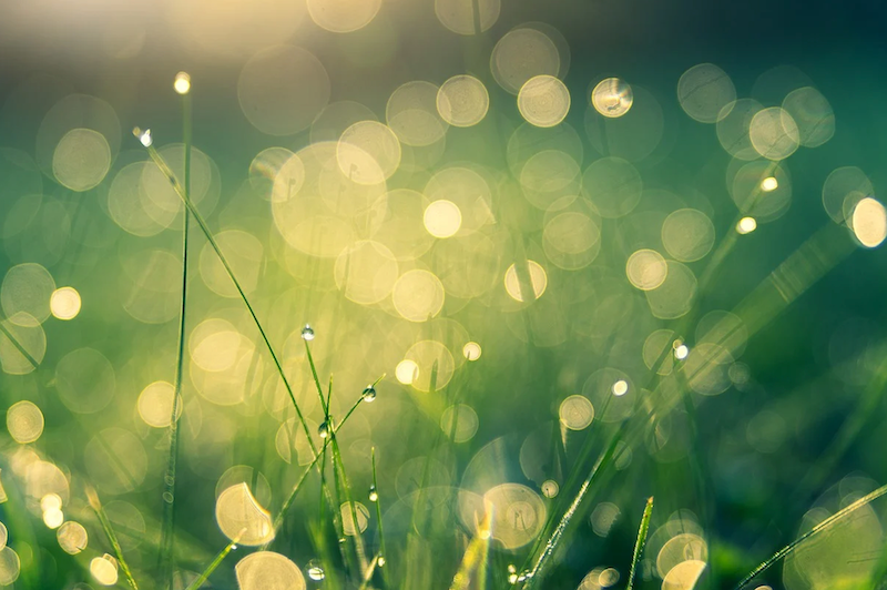 1655328667709 Green Technology