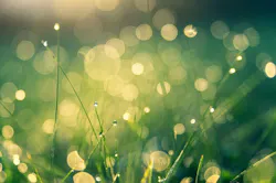 1655328667709 Green Technology 1655328667709 Green Technology