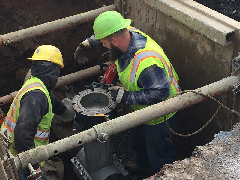 1655328674559 Mdcshoredcropped800x600