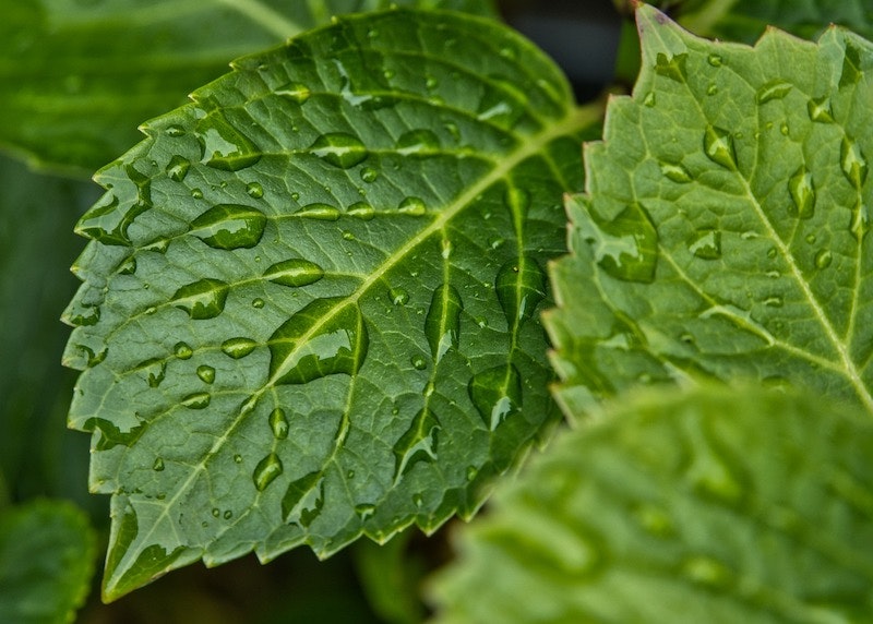 1655328677594 Waterindustry 0