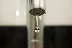 1656358932426 Dreamstime S 777145 1656358932426 Dreamstime S 777145