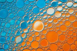 1656358951203 Awwaace22 1656358951203 Awwaace22