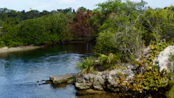 Florida is a hot spot for water reuse following years of changes to water ways, marshes and other ecosystems. Florida is a hot spot for water reuse following years of changes to water ways, marshes and other ecosystems.