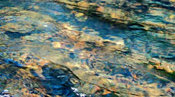 Wastewater Treatment Wastewater Treatment