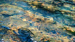 Wastewater Treatment 62cc6fb31c0a1 Wastewater Treatment 62cc6fb31c0a1