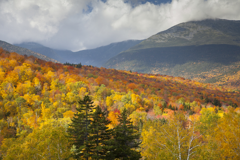 New Hamsphire Water 62d5825c57ef3