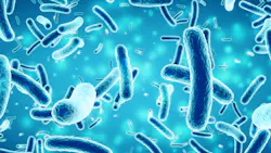 Cgi Bacillus Banner 6385333aaeef2 Cgi Bacillus Banner 6385333aaeef2