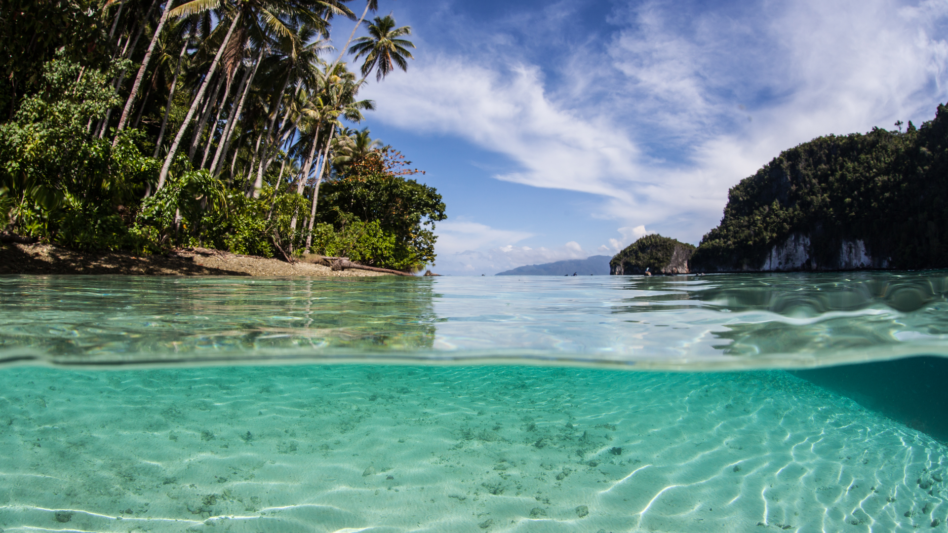 Dreamstime Xl 50444692