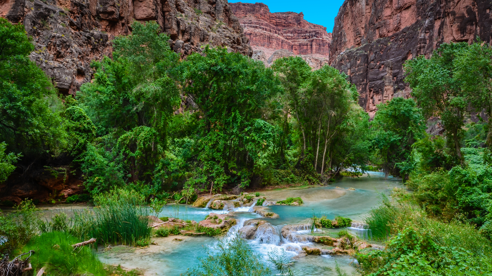 Dreamstime Xl 93310007 6388c0dd79991