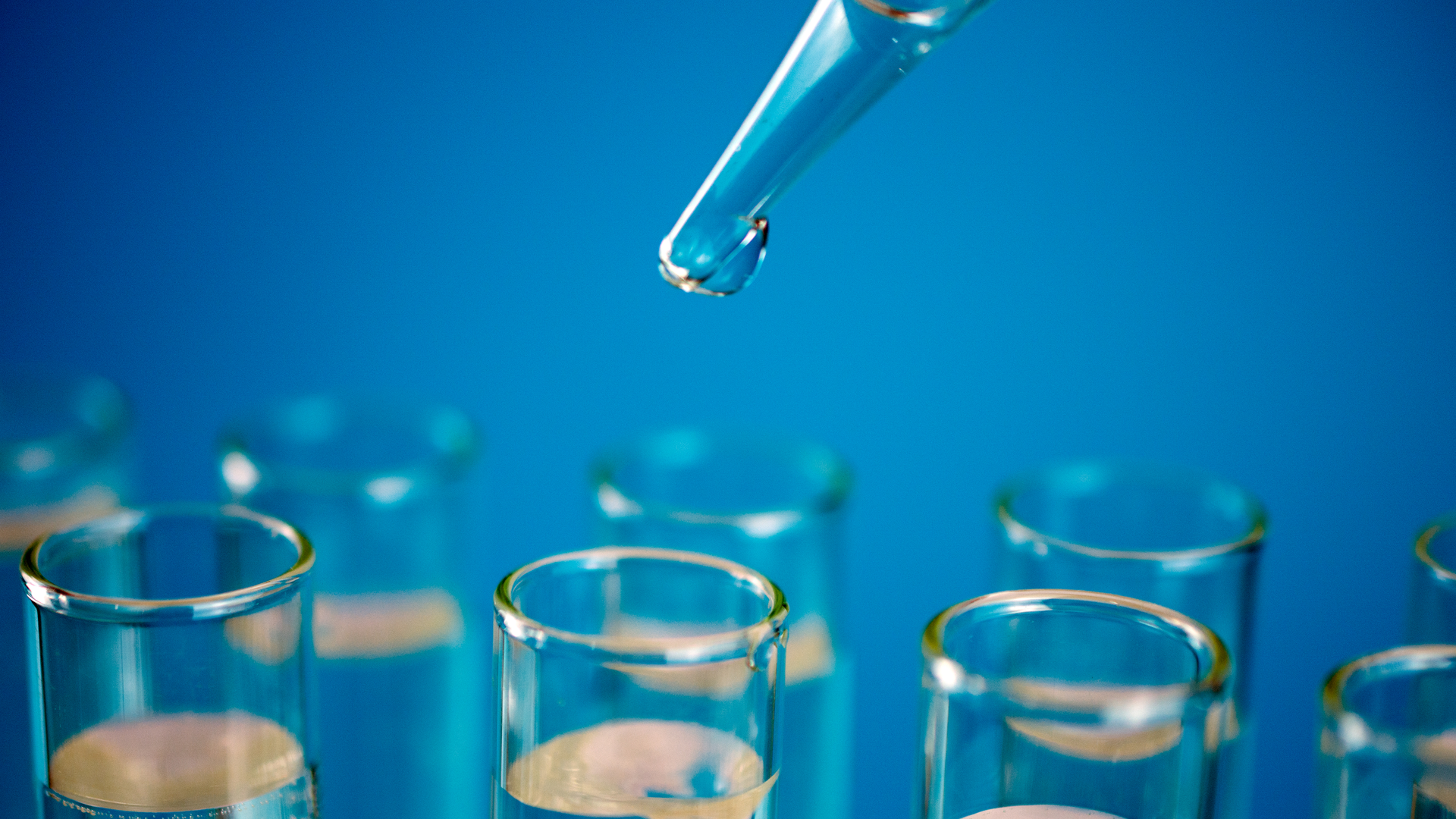 Dreamstime Xxl 147127344 1 639c7fb09d71f