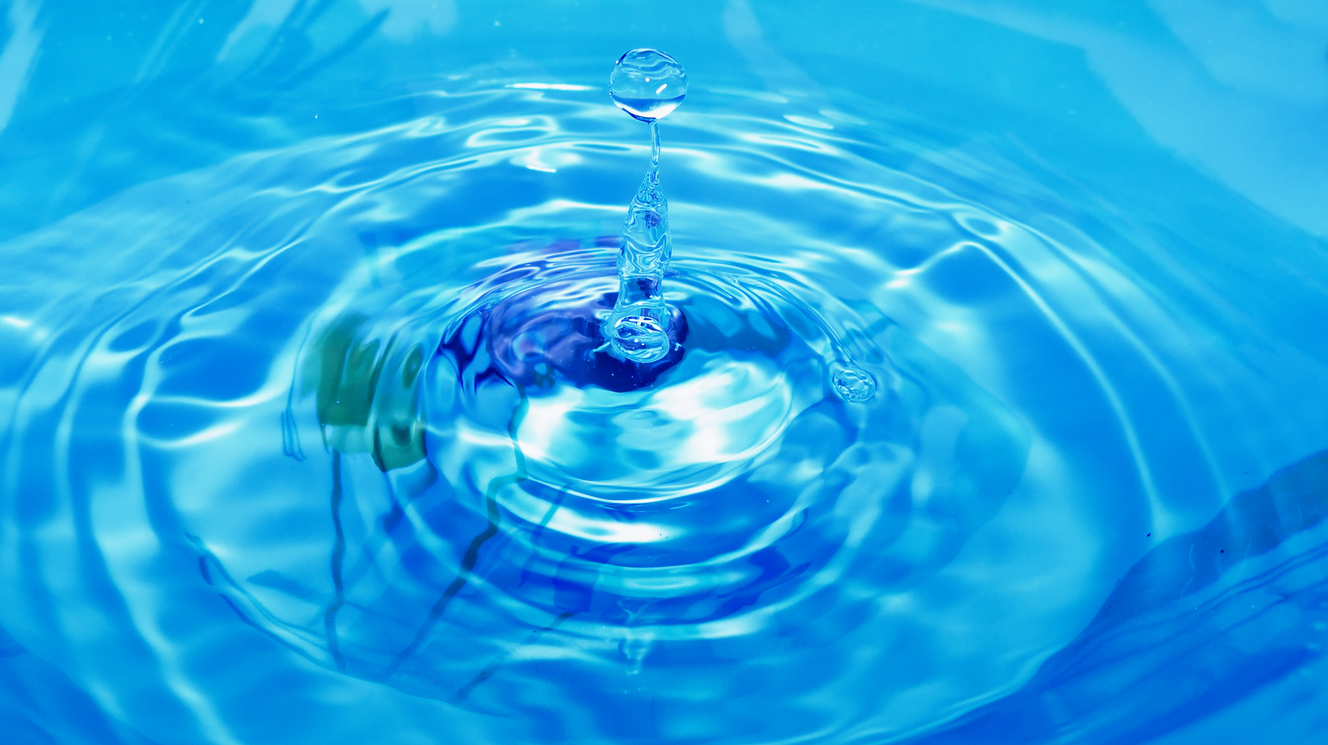 Dreamstime Xxl 15664904 6399e889eeae5