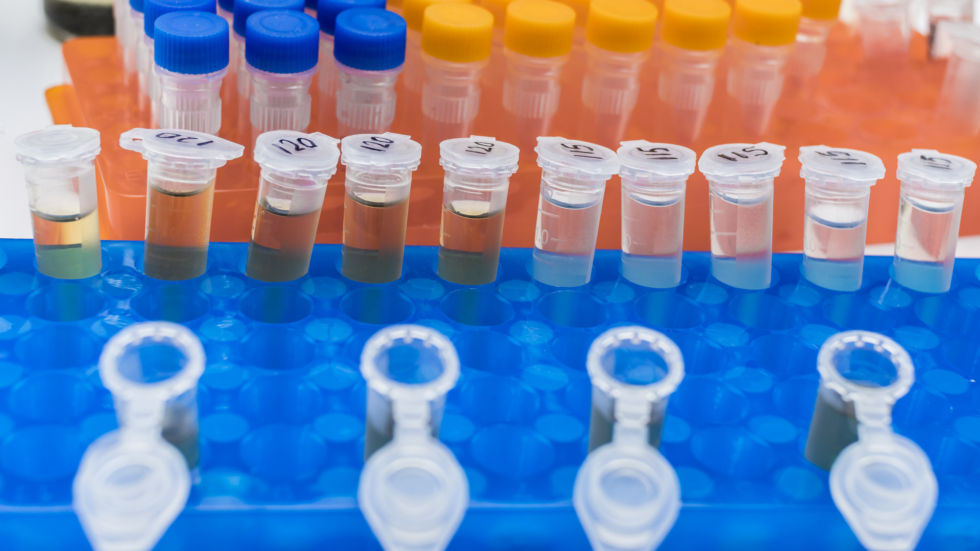 Dreamstime Xxl 181420624 639b238493cfc