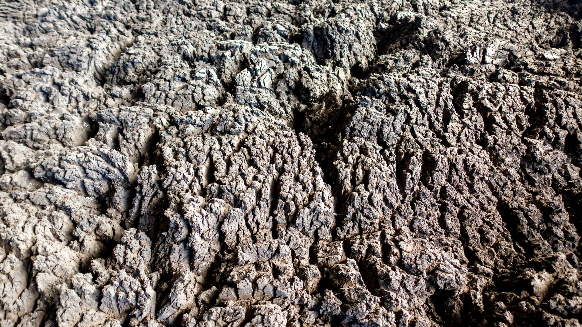 Dreamstime Xxl 225377079 63bed37551629