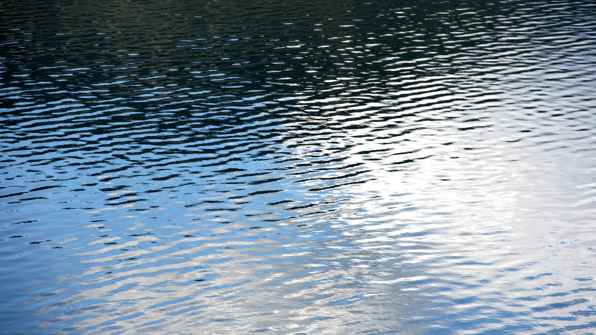 Dreamstime Xxl 3728707 63c7fd5ec1286