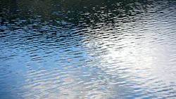 Dreamstime Xxl 3728707 63c7fd5ec1286 Dreamstime Xxl 3728707 63c7fd5ec1286