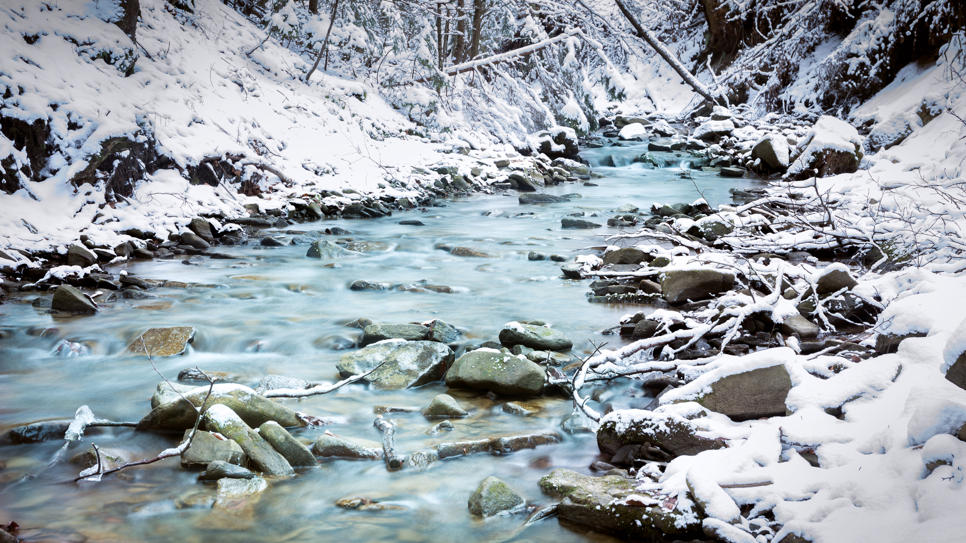 Dreamstime Xxl 69582837 63b44df42409f