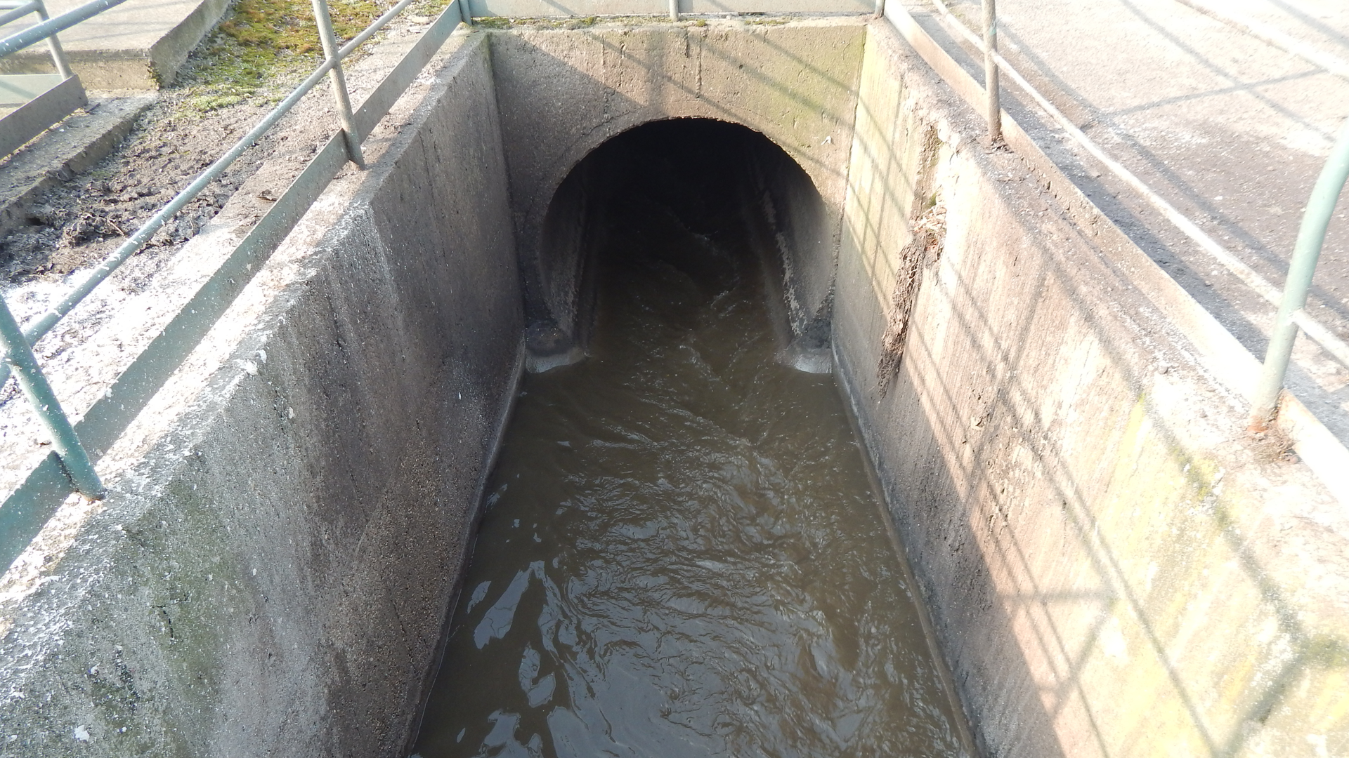 Dreamstime Xxl 174282476 6441a1106178d