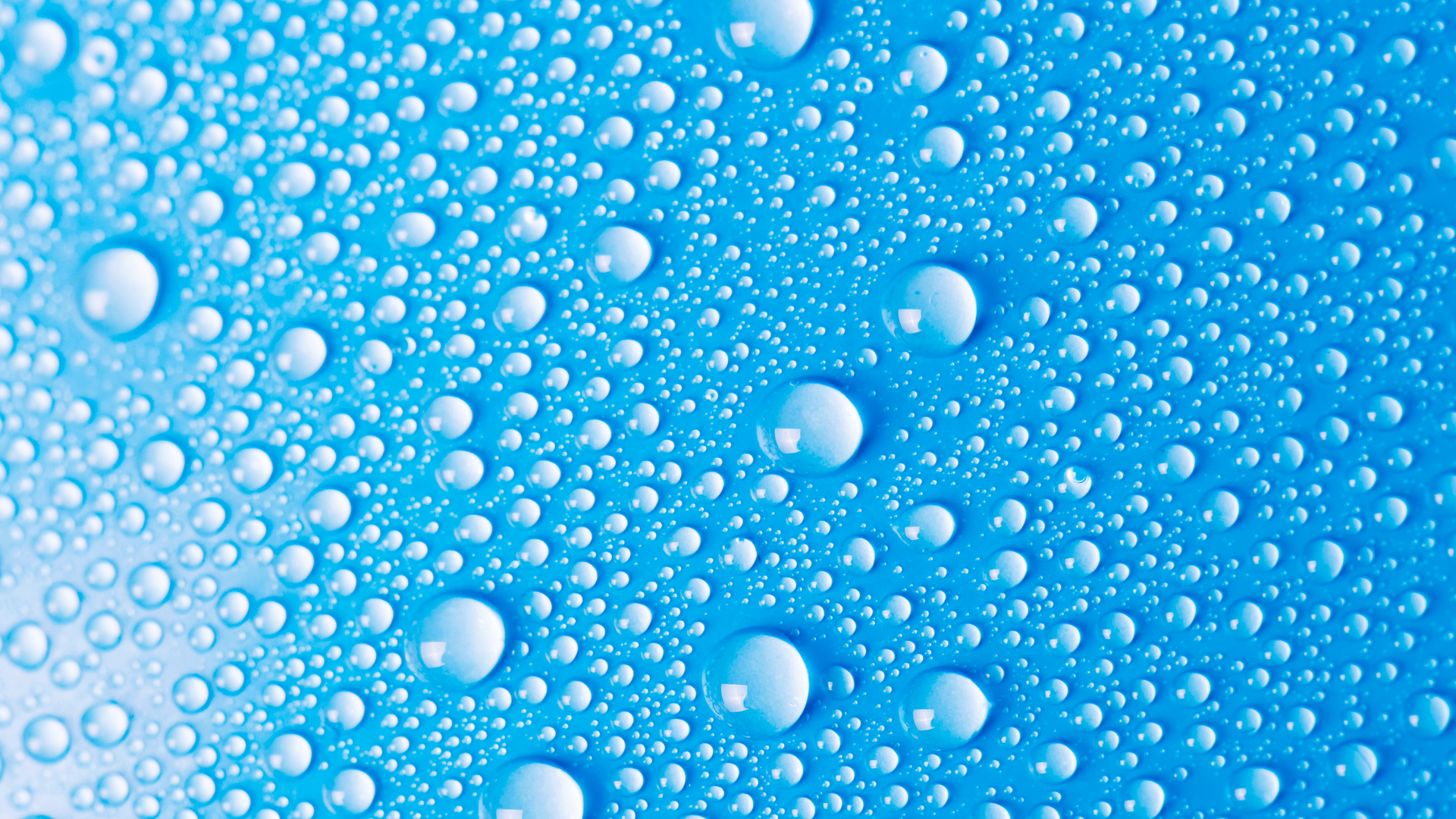 Dreamstime Xxl 43406264 64428fe28fbdd