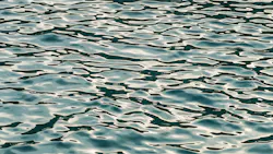 Dreamstime Xxl 47200060 646f73c9ac51f Dreamstime Xxl 47200060 646f73c9ac51f