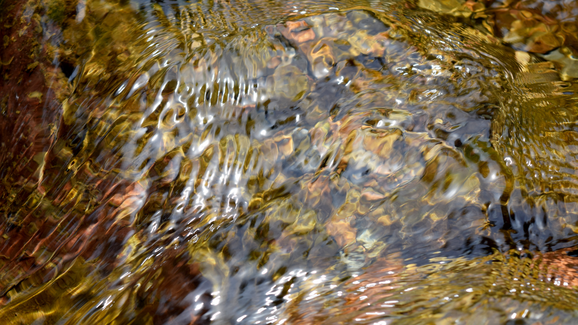 Dreamstime Xxl 54887938 6453c0e24cd3a