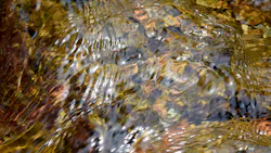 Dreamstime Xxl 54887938 6453c0e24cd3a Dreamstime Xxl 54887938 6453c0e24cd3a