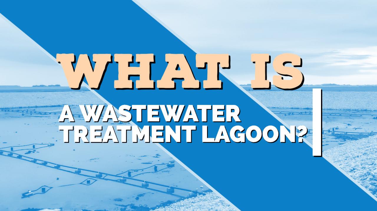 What is a wastewater treatment lagoon? How do they work? What types of lagoons exist?