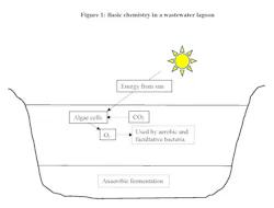 Figure 1. Basic chemistry in a wastewater treatment lagoon. Figure 1. Basic chemistry in a wastewater treatment lagoon.