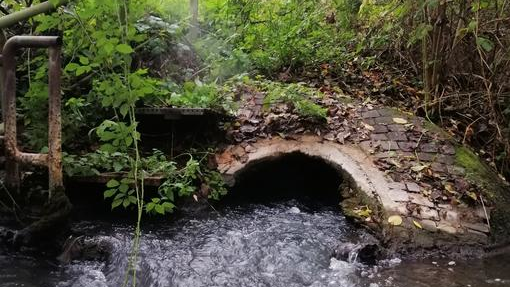 Low Res Bild 1 64db6dd7251fd