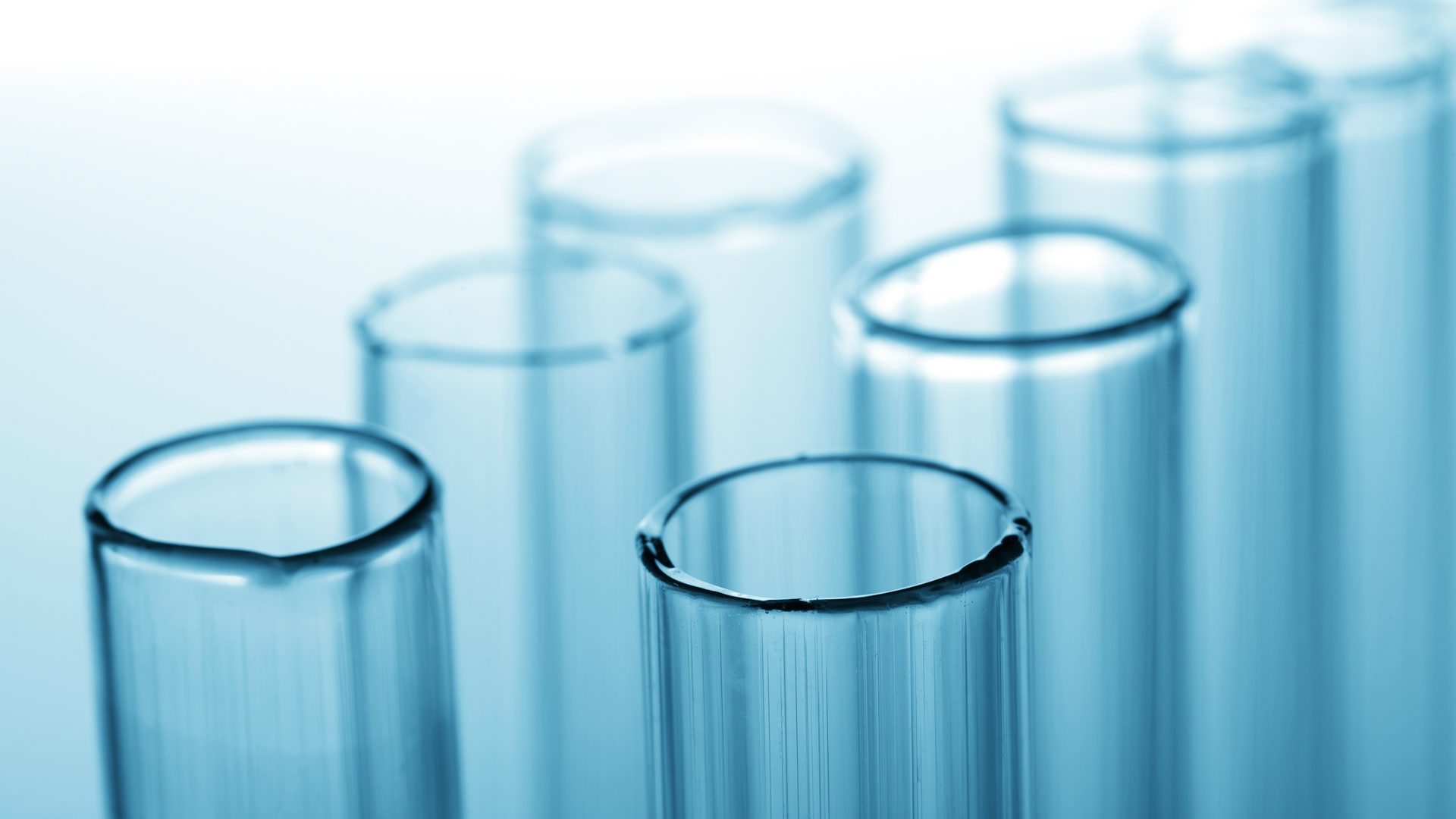 Dreamstime Xxl 12953272 64d4e8f5d98a8