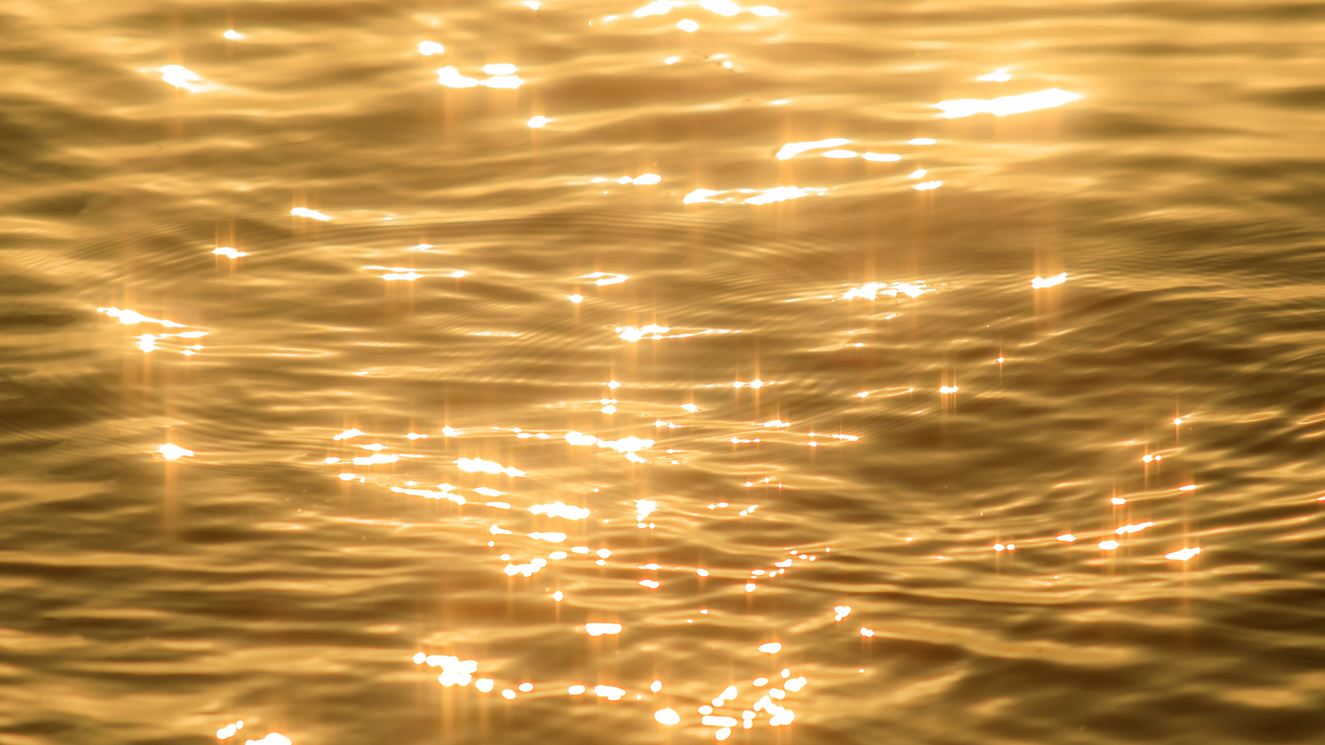 Dreamstime Xxl 153614165 6512e7a6c729f