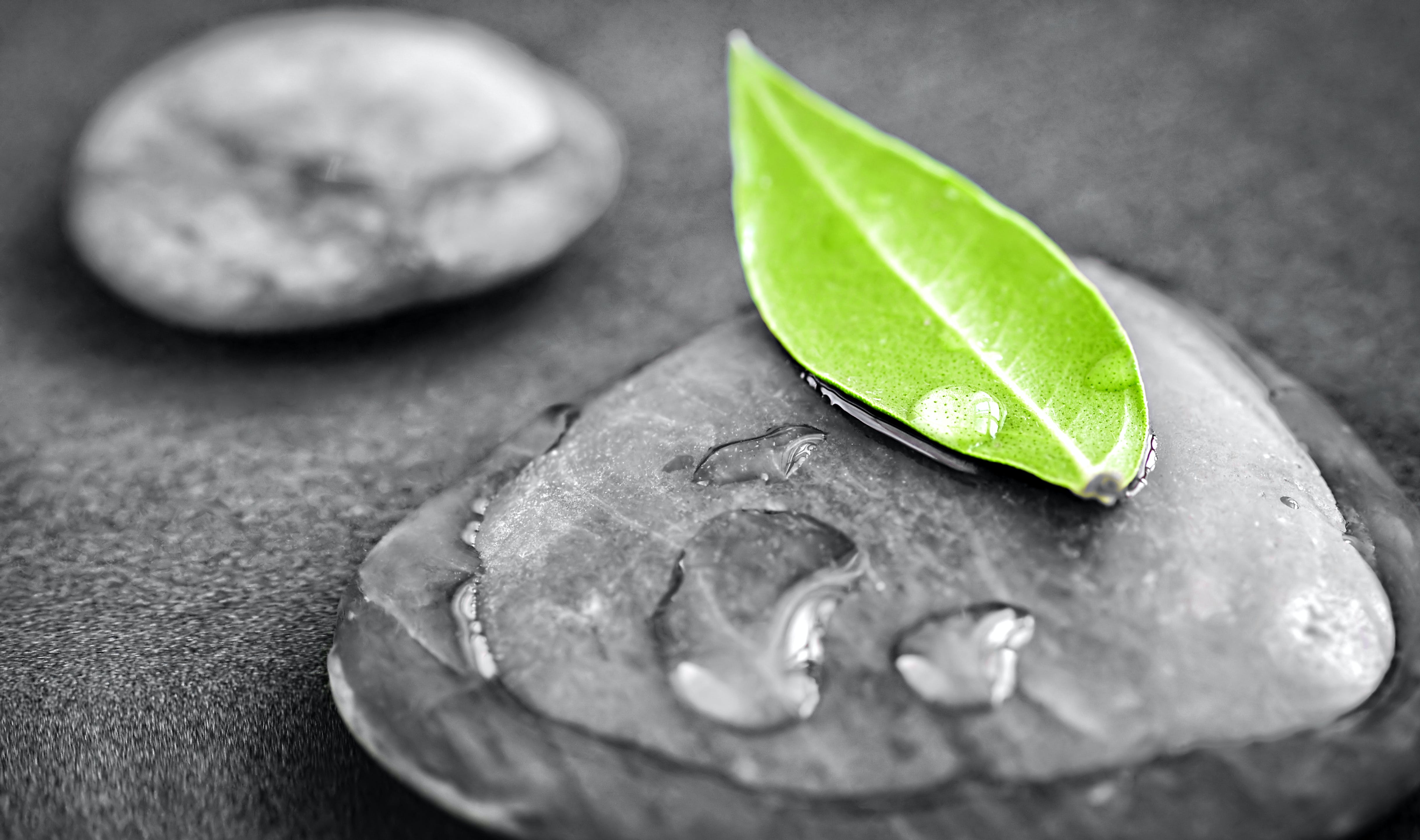 65317f831523c1001ed2acb7 Dreamstime Xxl 35983563