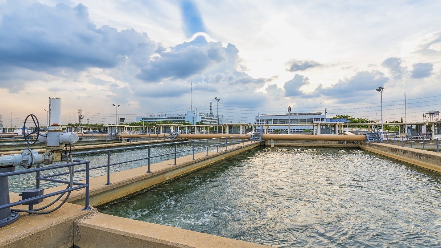 654bfe259bced3001fb38f88 Themeshot