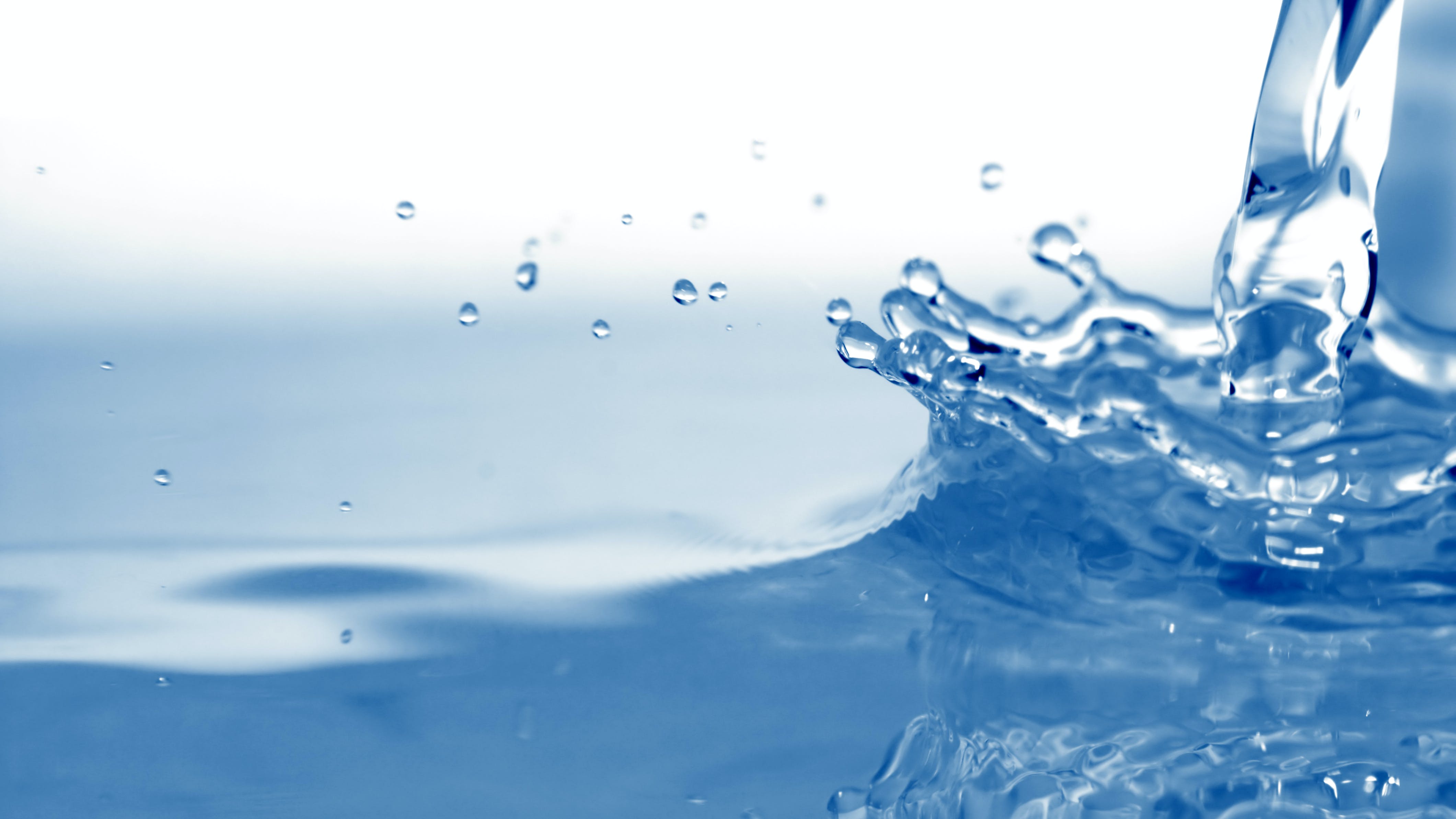 654e409485c094001e57dece Dreamstime Xxl 4133673 1