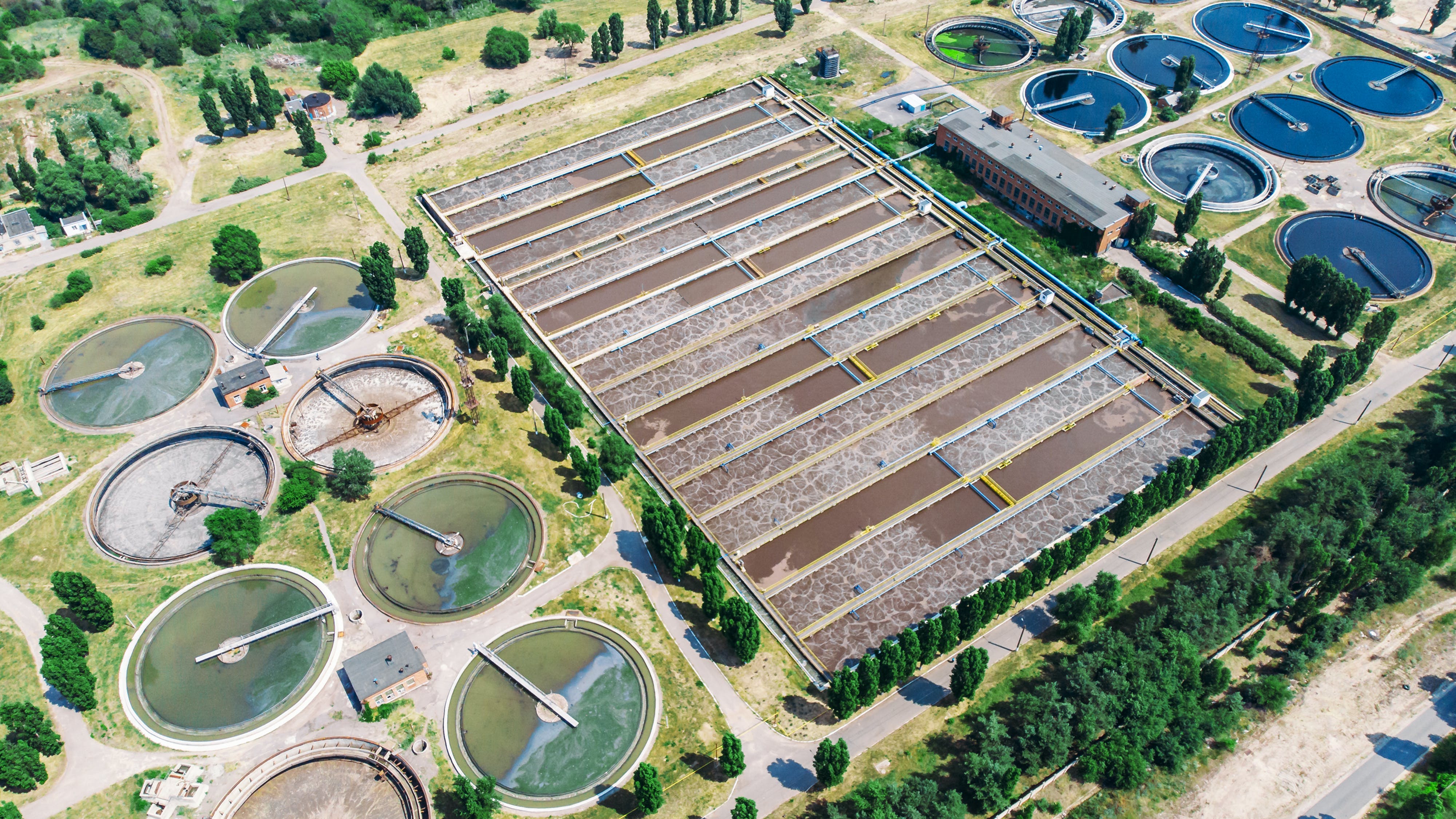 dreamstime_xxl_153108967